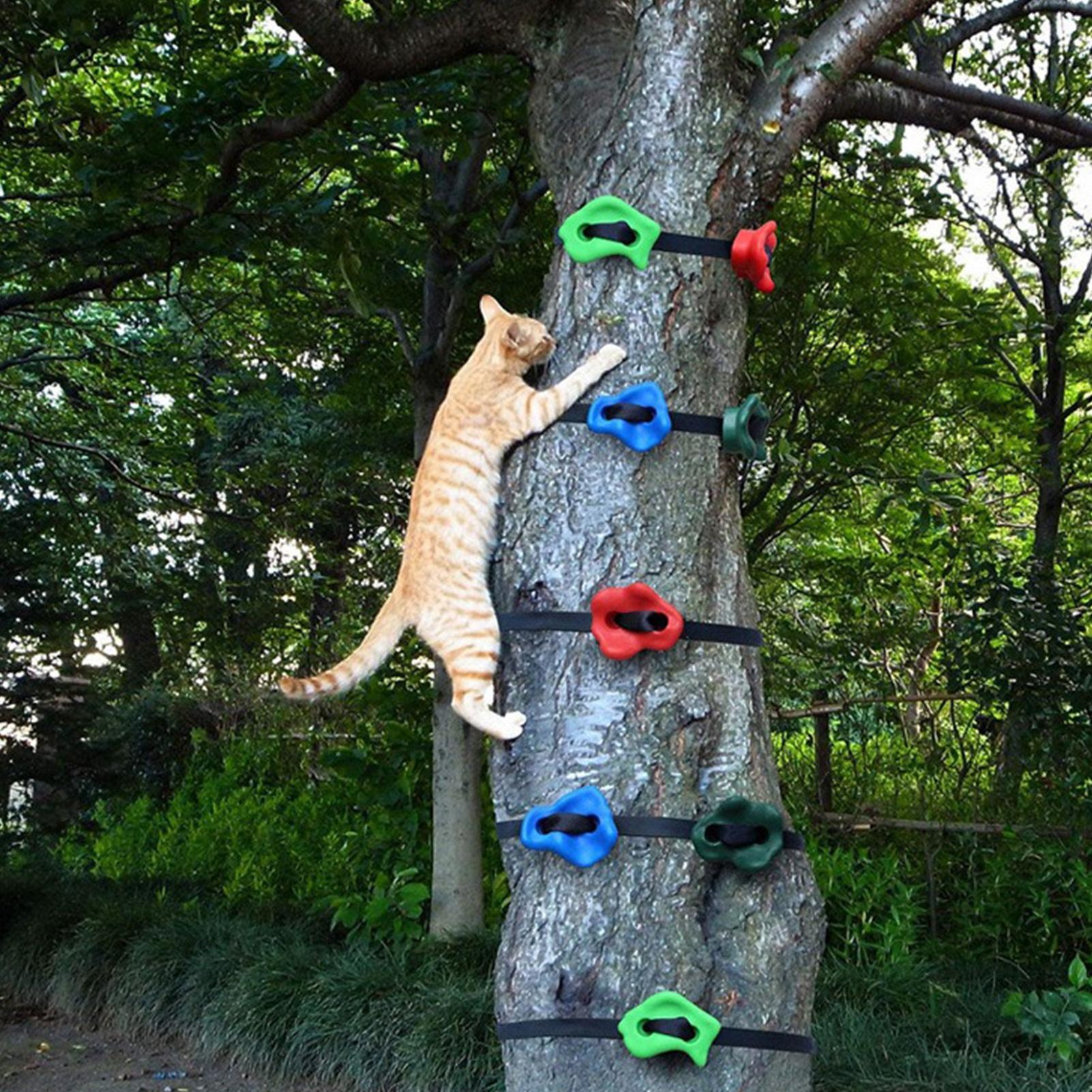 Outdoor Climbing Toys Adjustab - Outdoor Adventure Course 评论和价格